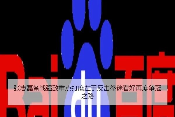 张志磊备战强敌重点打磨左手反击拳迷看好再度争冠之路