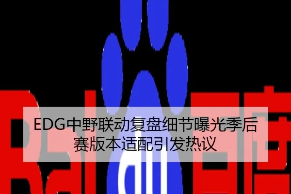 EDG中野联动复盘细节曝光季后赛版本适配引发热议